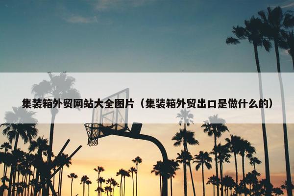 集装箱外贸网站大全图片（集装箱外贸出口是做什么的）-第1张图片-冷动云