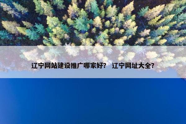 辽宁网站建设推广哪家好？ 辽宁网址大全？-第1张图片-冷动云