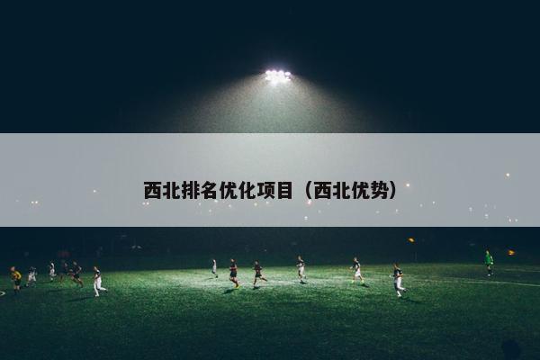 西北排名优化项目（西北优势）-第1张图片-冷动云