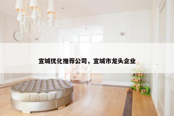 宣城优化推荐公司，宣城市龙头企业-第1张图片-冷动云