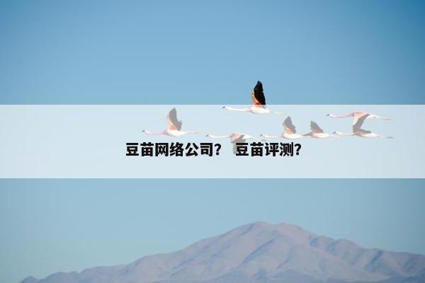 豆苗网络公司？ 豆苗评测？-第1张图片-冷动云