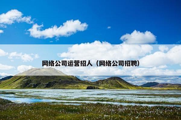 网络公司运营招人（网络公司招聘）-第1张图片-冷动云