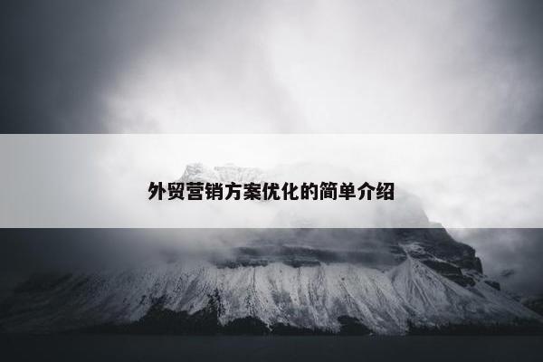 外贸营销方案优化的简单介绍-第1张图片-冷动云