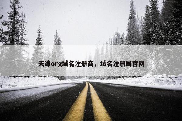 天津org域名注册商，域名注册局官网-第1张图片-冷动云