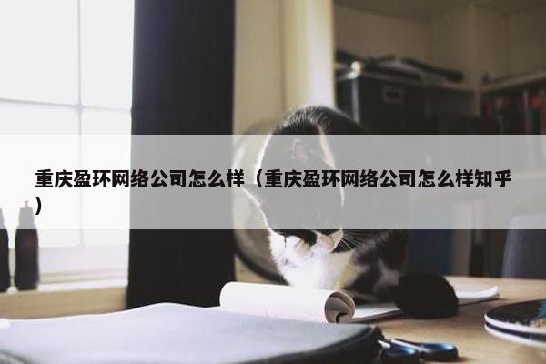 重庆盈环网络公司怎么样（重庆盈环网络公司怎么样知乎）-第1张图片-冷动云