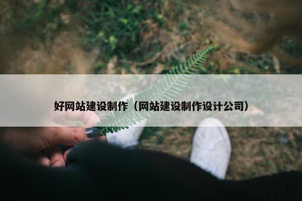 好网站建设制作（网站建设制作设计公司）-第1张图片-冷动云