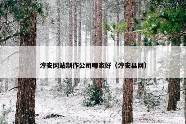 淳安网站制作公司哪家好（淳安县网）-第1张图片-冷动云