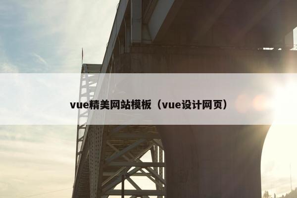 vue精美网站模板（vue设计网页）-第1张图片-冷动云