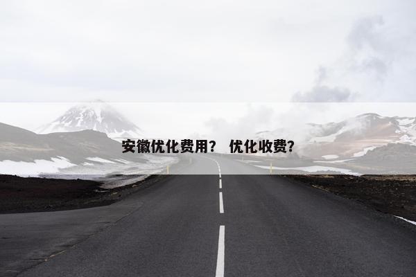 安徽优化费用？ 优化收费？-第1张图片-冷动云