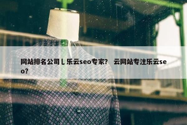 网站排名公司乚乐云seo专家？ 云网站专注乐云seo？-第1张图片-冷动云