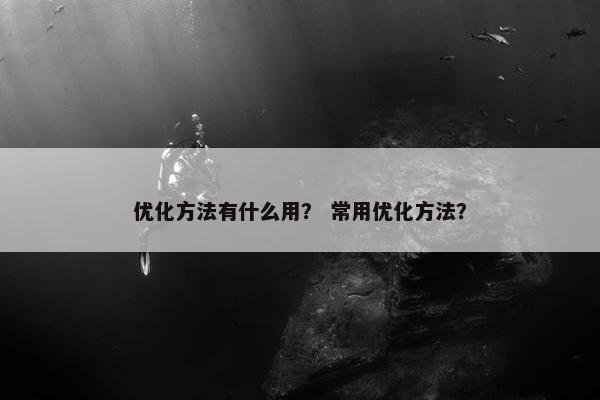 优化方法有什么用？ 常用优化方法？-第1张图片-冷动云
