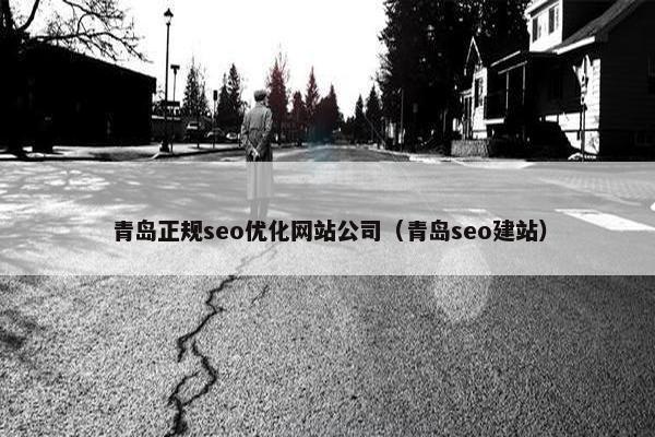 青岛正规seo优化网站公司（青岛seo建站）-第1张图片-冷动云