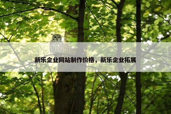 新乐企业网站制作价格，新乐企业拓展-第1张图片-冷动云