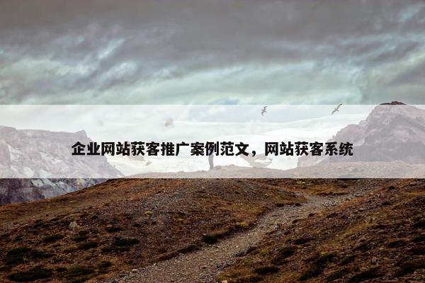 企业网站获客推广案例范文，网站获客系统-第1张图片-冷动云