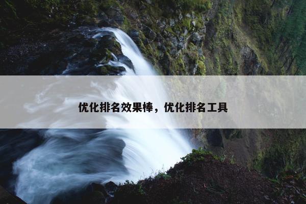 优化排名效果棒，优化排名工具-第1张图片-冷动云