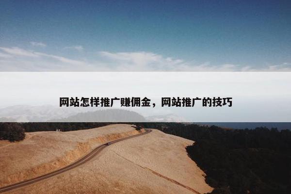 网站怎样推广赚佣金，网站推广的技巧-第1张图片-冷动云