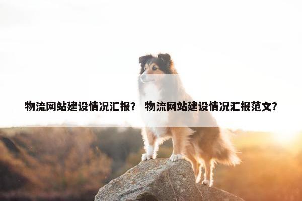 物流网站建设情况汇报？ 物流网站建设情况汇报范文？-第1张图片-冷动云