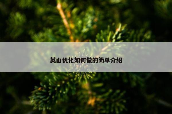 英山优化如何做的简单介绍-第1张图片-冷动云
