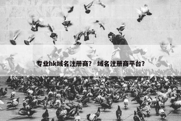 专业hk域名注册商？ 域名注册商平台？-第1张图片-冷动云