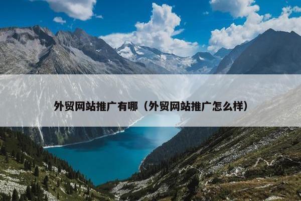 外贸网站推广有哪（外贸网站推广怎么样）-第1张图片-冷动云