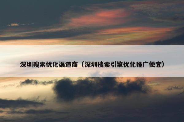 深圳搜索优化渠道商（深圳搜索引擎优化推广便宜）-第1张图片-冷动云