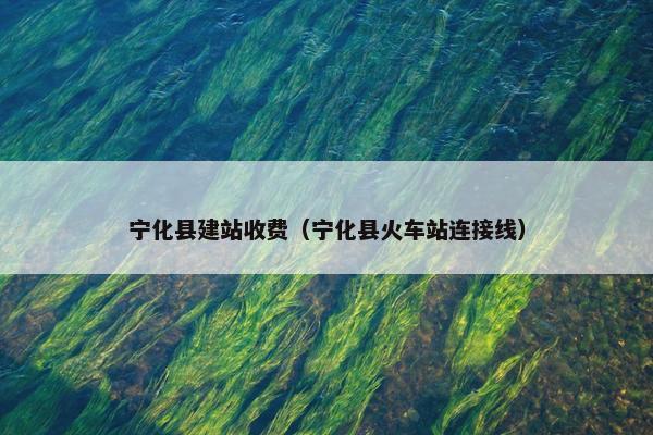 宁化县建站收费（宁化县火车站连接线）-第1张图片-冷动云