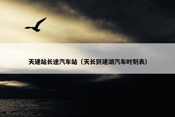 天建站长途汽车站（天长到建湖汽车时刻表）-第1张图片-冷动云