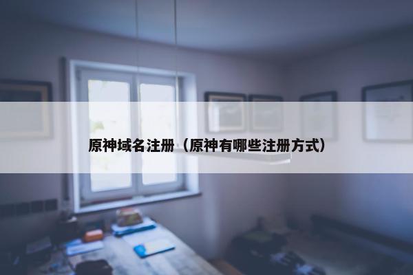 原神域名注册（原神有哪些注册方式）-第1张图片-冷动云