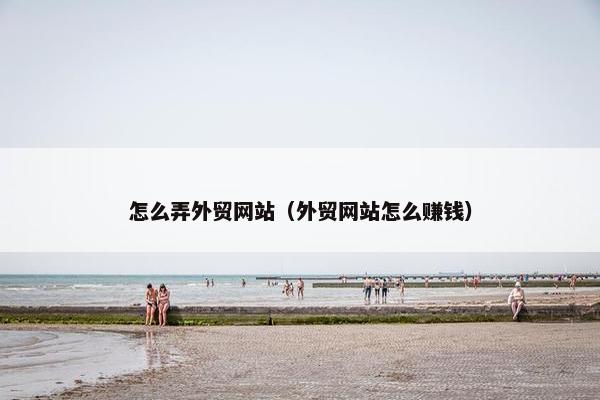 怎么弄外贸网站（外贸网站怎么赚钱）-第1张图片-冷动云
