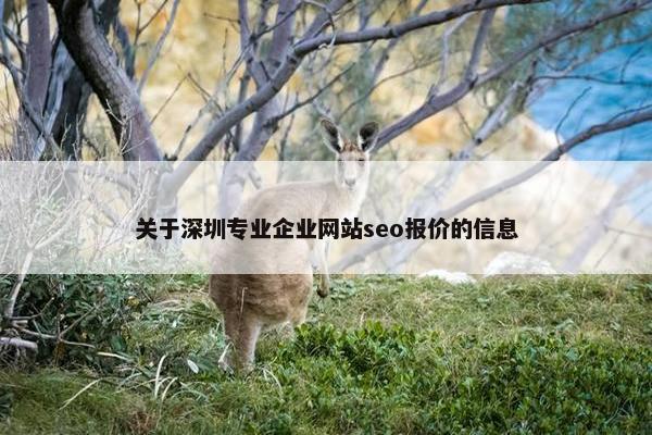 关于深圳专业企业网站seo报价的信息-第1张图片-冷动云
