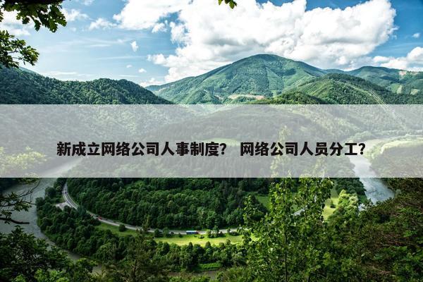 新成立网络公司人事制度？ 网络公司人员分工？-第1张图片-冷动云