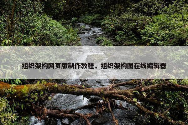 组织架构网页版制作教程，组织架构图在线编辑器-第1张图片-冷动云