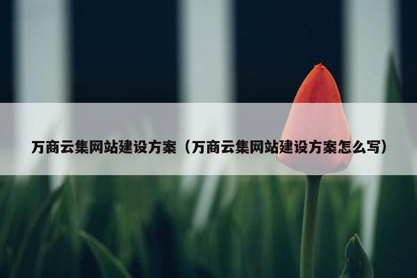 万商云集网站建设方案（万商云集网站建设方案怎么写）-第1张图片-冷动云