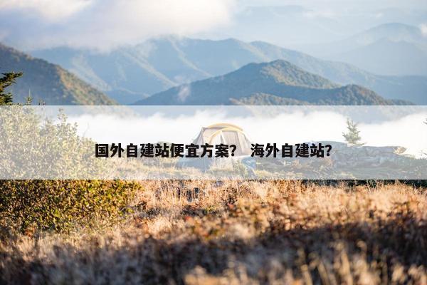国外自建站便宜方案？ 海外自建站？-第1张图片-冷动云