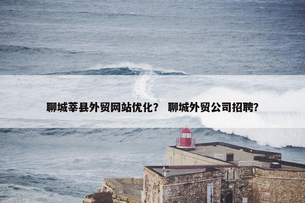 聊城莘县外贸网站优化？ 聊城外贸公司招聘？-第1张图片-冷动云