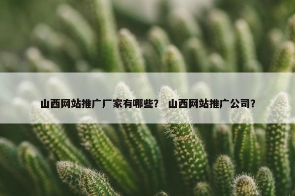 山西网站推广厂家有哪些？ 山西网站推广公司？-第1张图片-冷动云