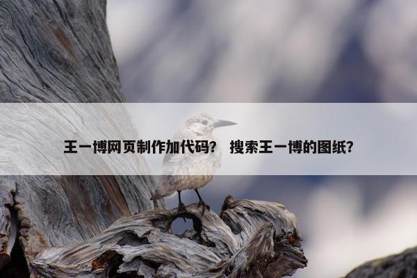 王一博网页制作加代码？ 搜索王一博的图纸？-第1张图片-冷动云