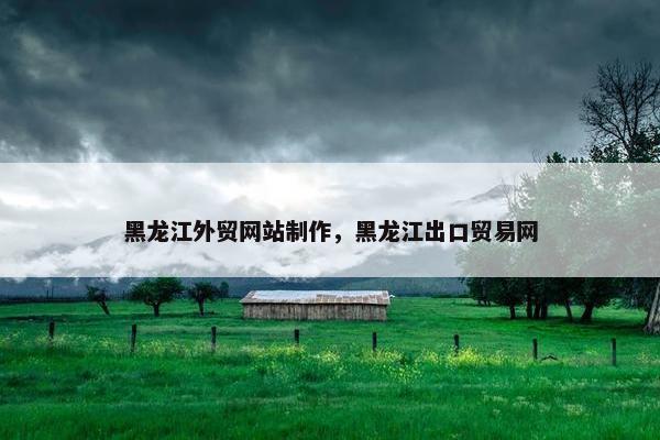 黑龙江外贸网站制作，黑龙江出口贸易网-第1张图片-冷动云