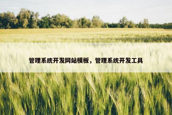 管理系统开发网站模板，管理系统开发工具-第1张图片-冷动云