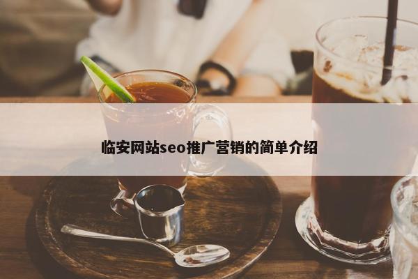 临安网站seo推广营销的简单介绍-第1张图片-冷动云