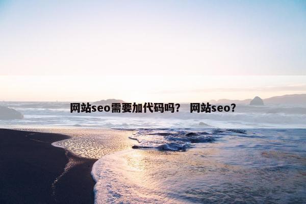 网站seo需要加代码吗？ 网站seo？-第1张图片-冷动云