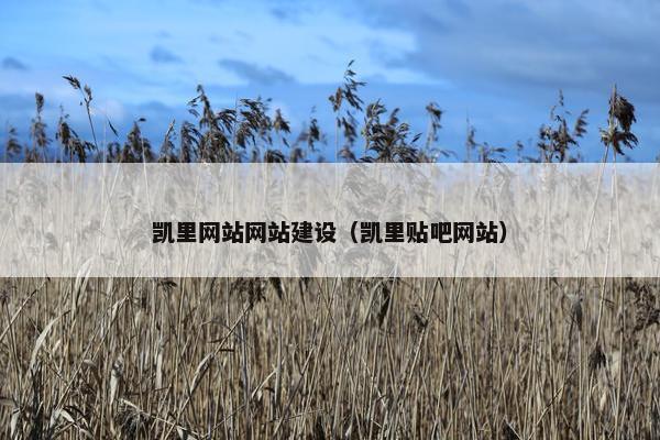 凯里网站网站建设（凯里贴吧网站）-第1张图片-冷动云