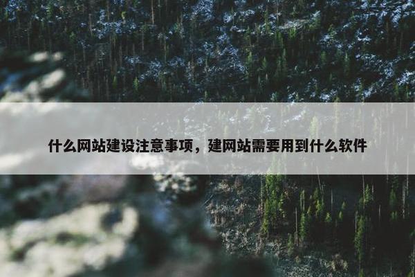 什么网站建设注意事项，建网站需要用到什么软件-第1张图片-冷动云