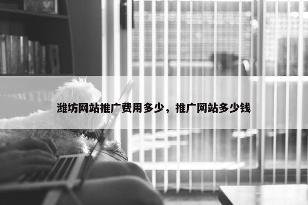 潍坊网站推广费用多少，推广网站多少钱-第1张图片-冷动云