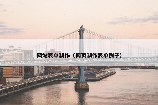 网站表单制作（网页制作表单例子）-第1张图片-冷动云