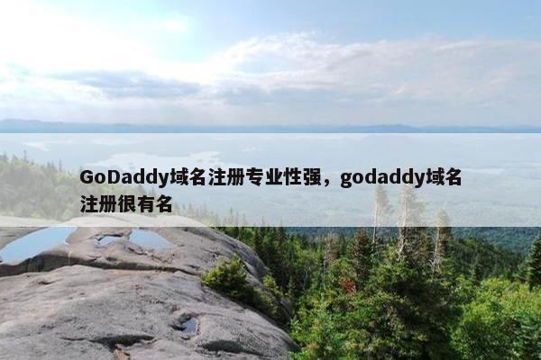 GoDaddy域名注册专业性强，godaddy域名注册很有名-第1张图片-冷动云