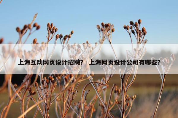 上海互动网页设计招聘？ 上海网页设计公司有哪些？-第1张图片-冷动云