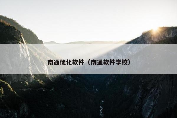 南通优化软件（南通软件学校）-第1张图片-冷动云