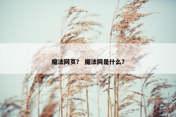 魔法网页？ 魔法网是什么？-第1张图片-冷动云