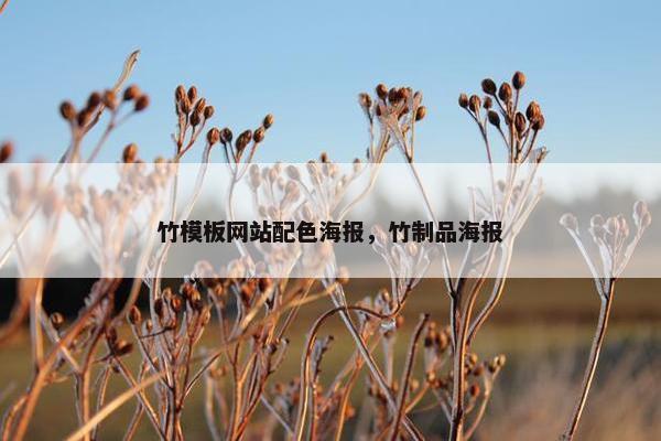 竹模板网站配色海报，竹制品海报-第1张图片-冷动云